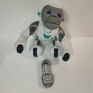 ربات میمون کنترلی